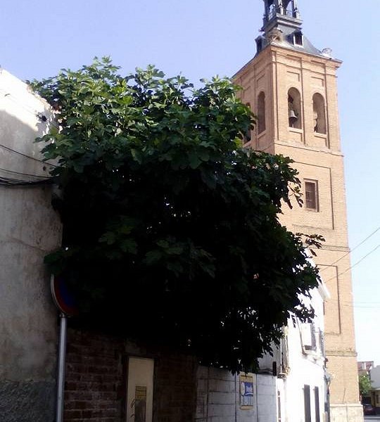 Iglesia de la Natividad de Nuestra Señora