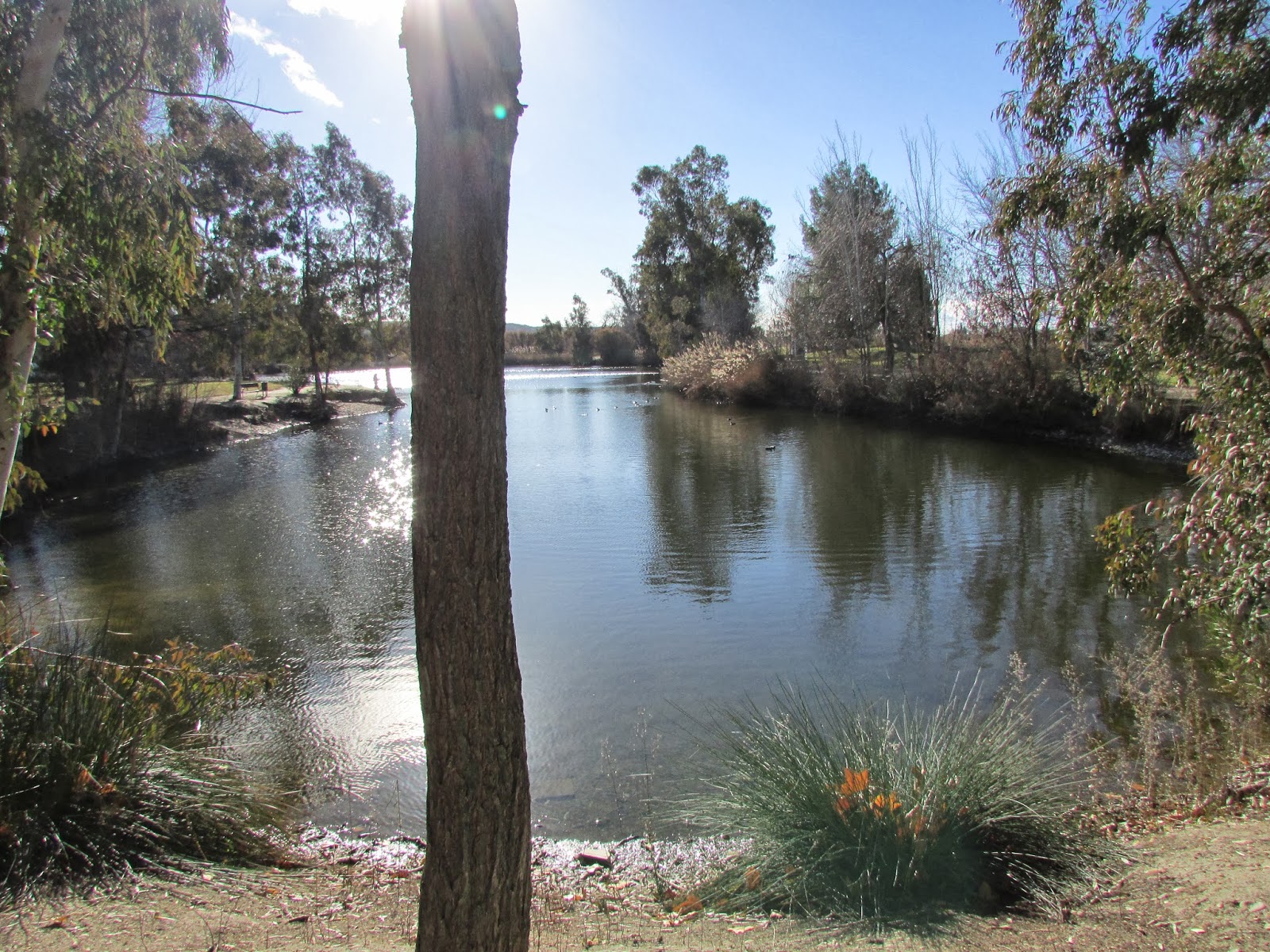 Parque Regional del Sureste