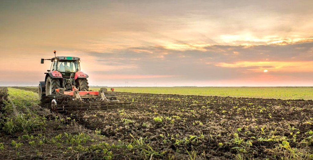 La vega agrícola de San Martín de la Vega