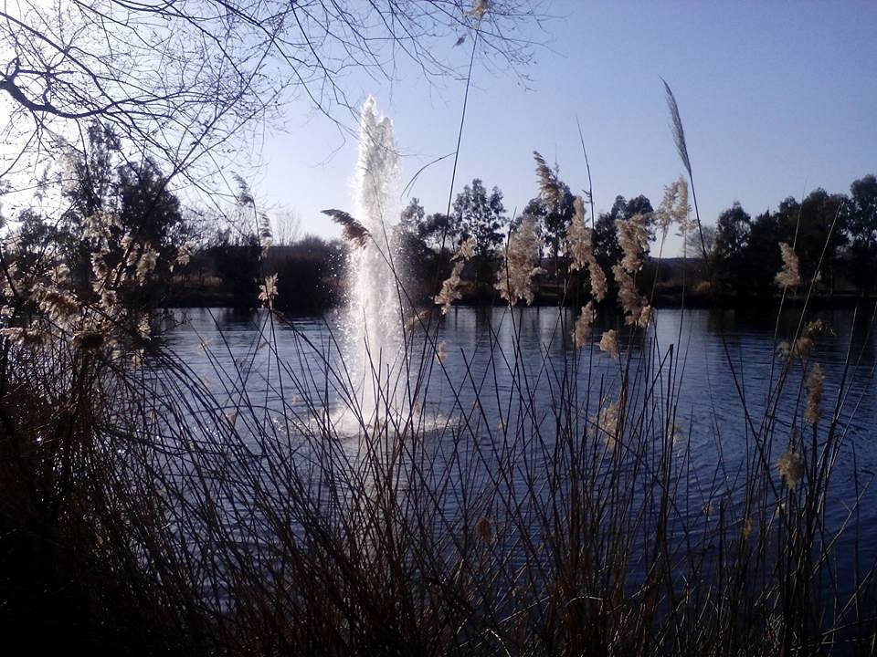 Parque Tierno Galván