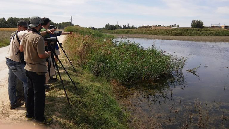Reserva Ornitológica Los Albardales